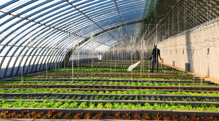 24d3d7dc3f35f61b15c3fbd415190e0b.jpg 24d3d7dc3f35f61b15c3fbd415190e0b.jpg