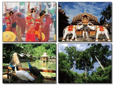 游西雙版納，領(lǐng)略南國風情